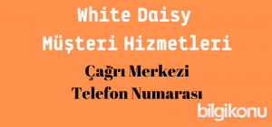 White Daisy Musteri Hizmetleri Cagri Merkezi Telefon Numarasi