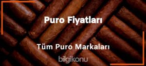 Puro Fiyatlari